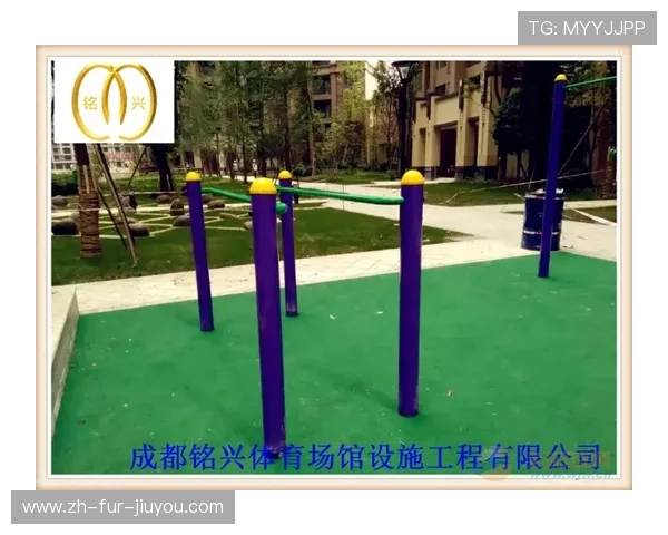 综合健身器材锻炼方法详解及体育训练全方位指导