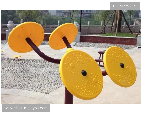 英塞斯健身器材品牌及体育产品功能介绍