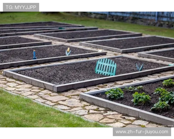 足球雨水收集系统在草坪灌溉中的实际应用效果分析 足球雨水收集系统在草坪灌溉中的实际应用效果分析